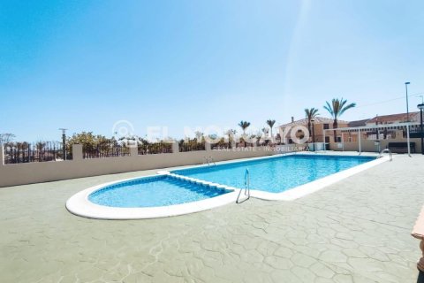 Bungalow en venta en Orihuela, Alicante, España 3 dormitorios, 68 m2 No. 183800 - foto 30