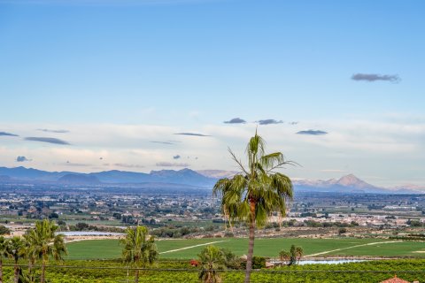 Продажа виллы в Альгорфа, Аликанте, Испания 4 спальни, 216м2 №161674 - фото 4