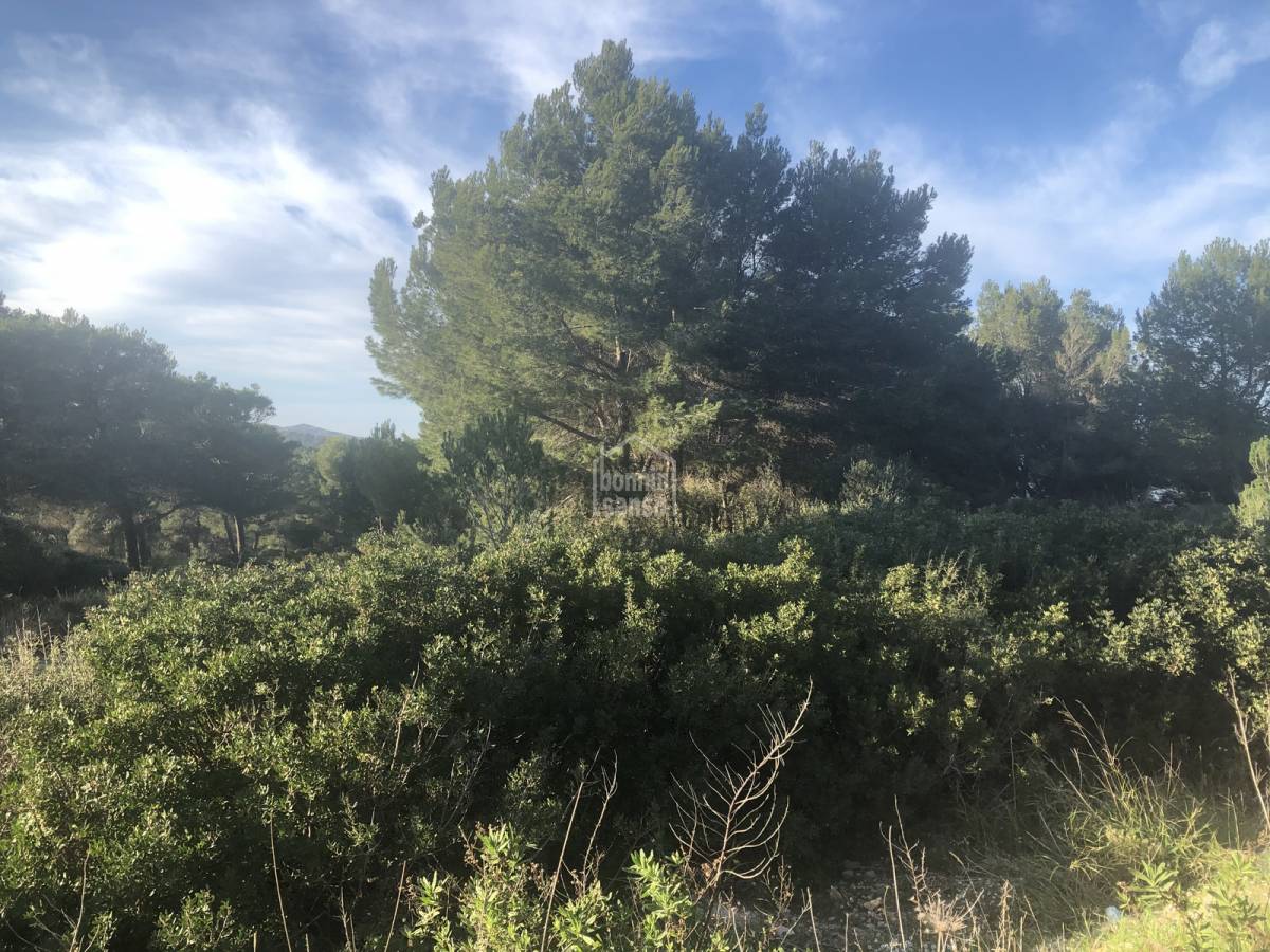 Tontti Es Mercadal, Menorca, Espanja No. 65452