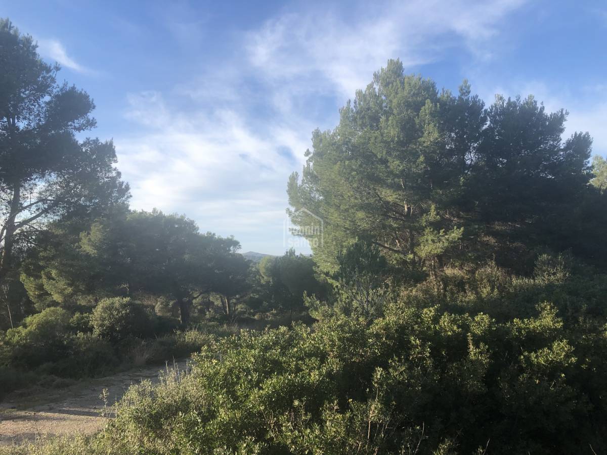 Tontti Es Mercadal, Menorca, Espanja No. 65452