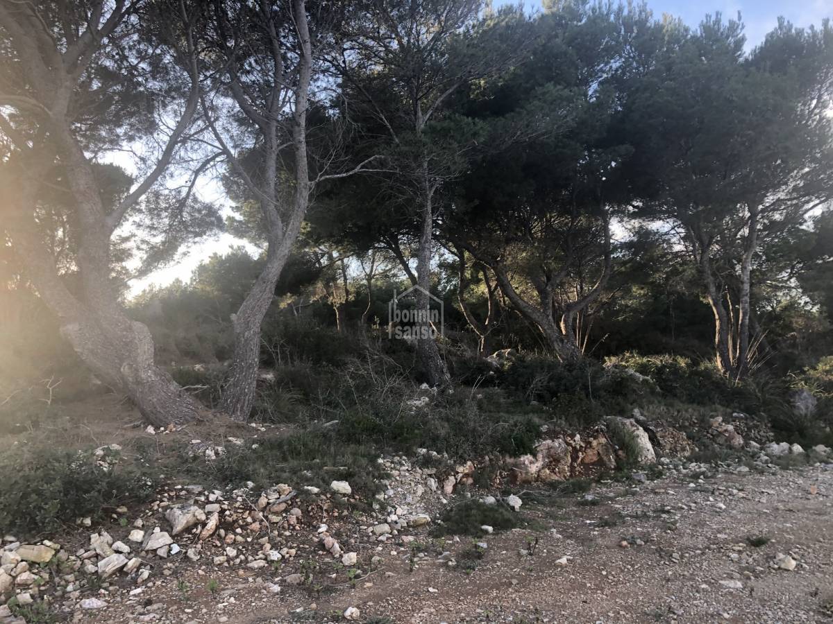 Land plot in Es Mercadal, Menorca, Spain No. 65451