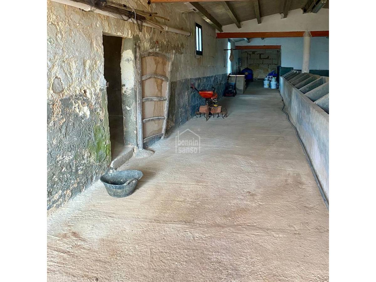 Villa i Ferreries, Menorca, Spanien 4 sovrum, 568 kvm. Nr. 193050