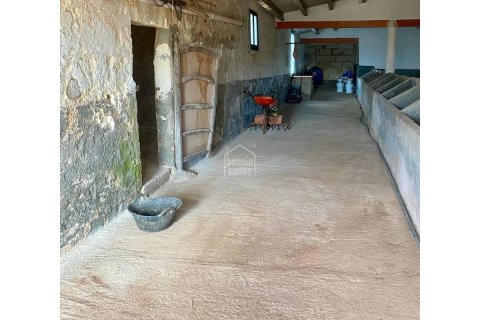 Villa à vendre à Ferreries, Menorca, Espagne, 4 chambres, 568 m2 No. 193050 - photo 12