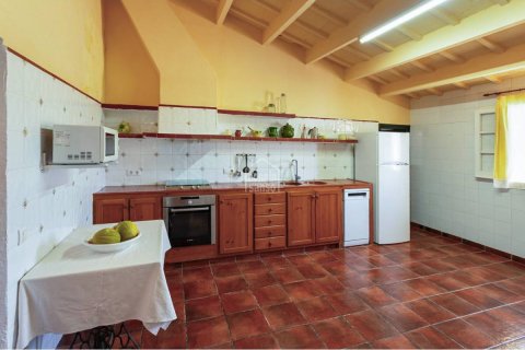 Villa à vendre à Ferreries, Menorca, Espagne, 4 chambres, 568 m2 No. 193050 - photo 7