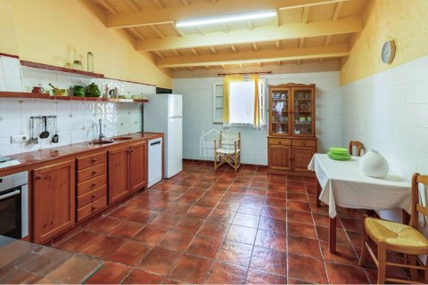 Villa à vendre à Ferreries, Menorca, Espagne, 4 chambres, 568 m2 No. 193050 - photo 8