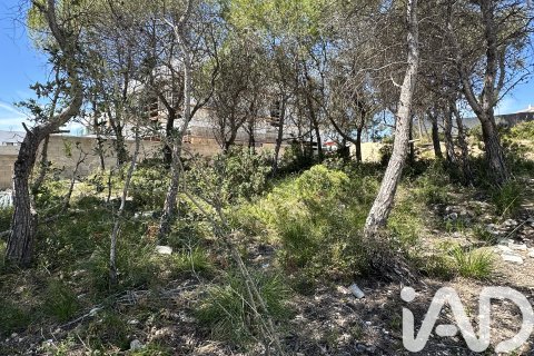 Land plot for sale in Sant Pere de Ribes, Barcelona, Spain 762 sq.m. No. 172684 - photo 5