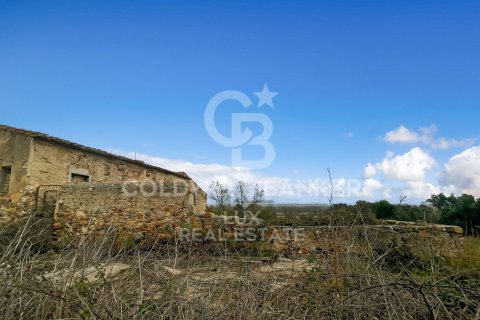 Land zum Verkauf in Garriguella, Girona, Spanien 1300000 m2 Nr. 159495 - Foto 4
