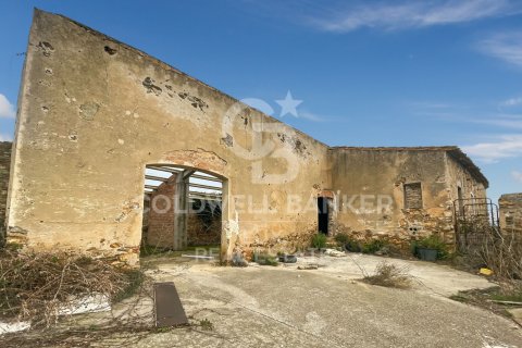 Land zum Verkauf in Garriguella, Girona, Spanien 1300000 m2 Nr. 159495 - Foto 9
