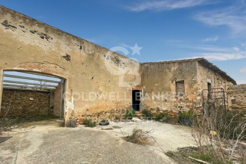 Land zum Verkauf in Garriguella, Girona, Spanien 1300000 m2 Nr. 159495 - Foto 10