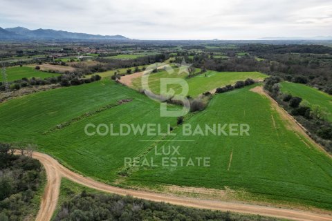 Land zum Verkauf in Garriguella, Girona, Spanien 1300000 m2 Nr. 159495 - Foto 2