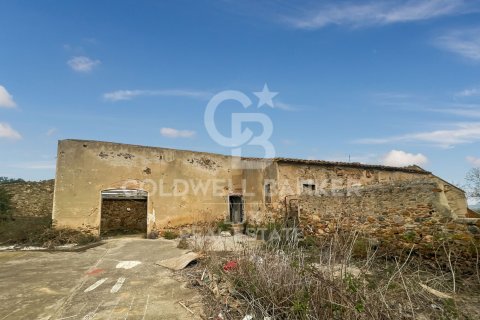 Tomt till salu i Garriguella, Girona, Spanien 1300000 kvm. Nr. 159495 - foto 5