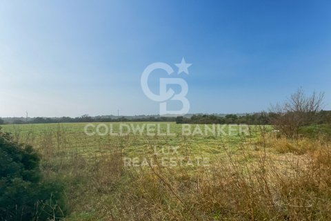 Tomt till salu i Garriguella, Girona, Spanien 1300000 kvm. Nr. 159495 - foto 6