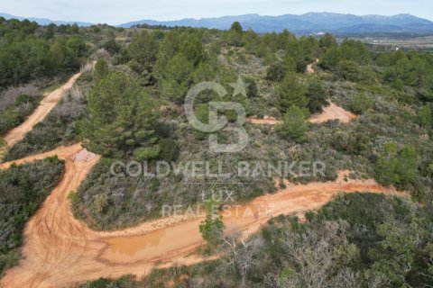 Tomt till salu i Garriguella, Girona, Spanien 1300000 kvm. Nr. 159495 - foto 4