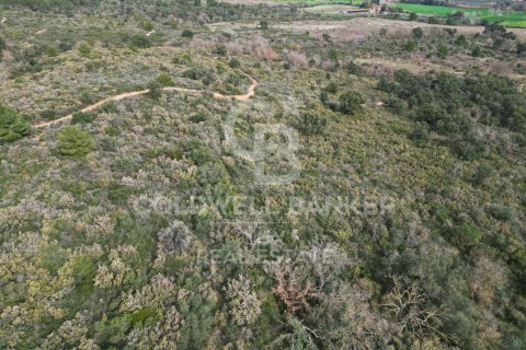 Land zum Verkauf in Garriguella, Girona, Spanien 1300000 m2 Nr. 159495 - Foto 6