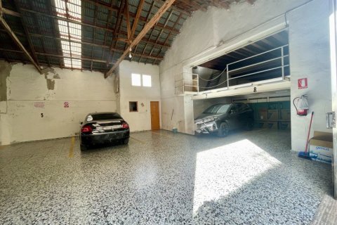 Liikekiinteistö myytävänä Rojales, Alicante, Espanja , 387 m2 No. 189516 - kuva 9
