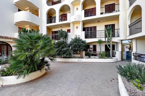 Apartment à vendre à Santa Ponsa, Mallorca, Espagne, 1 chambre, 44 m2 No. 143589 - photo 12