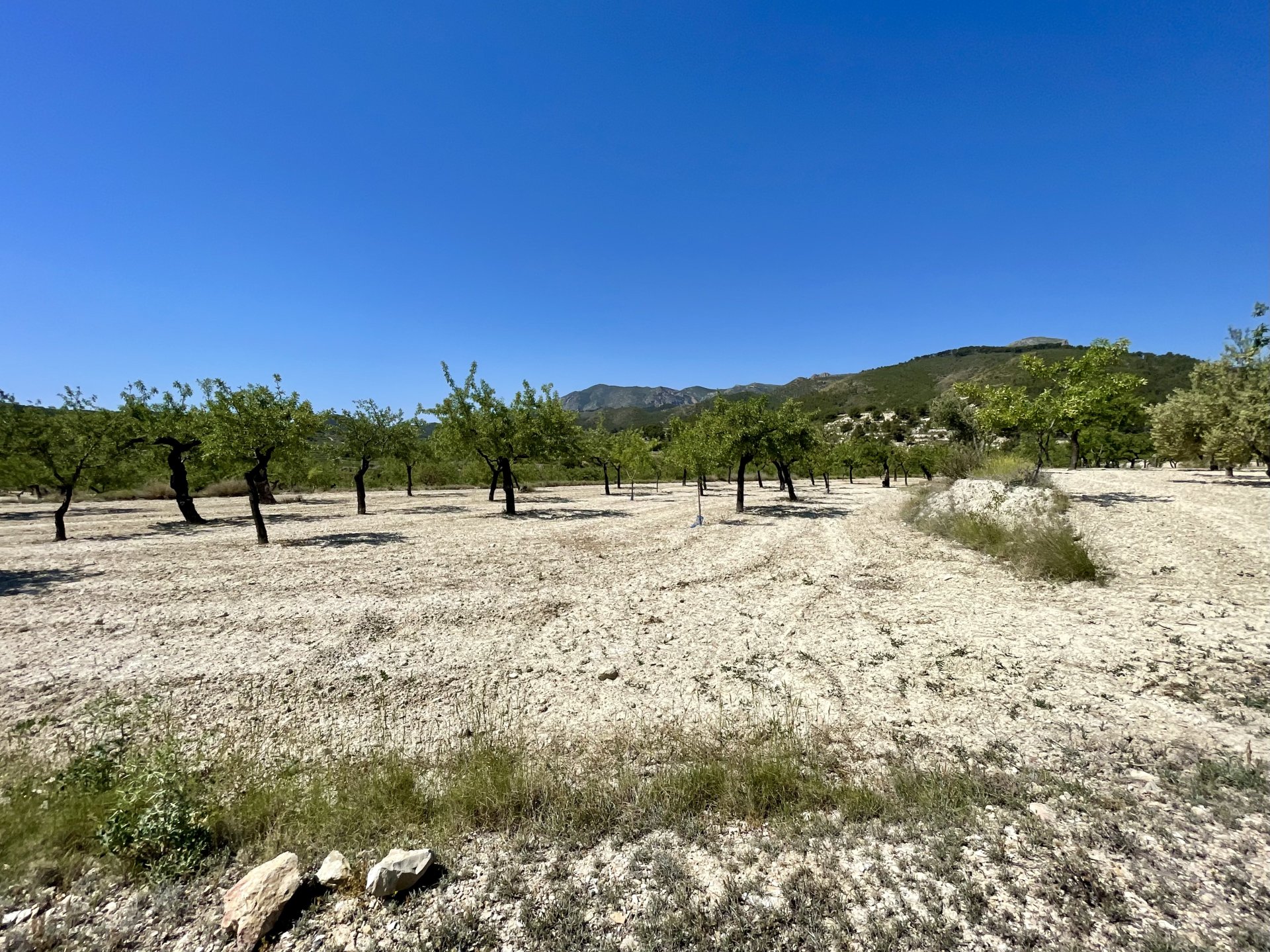 Finca a Relleu, Alicante, Spagna 2 camere da letto, 67 mq. N° 192509