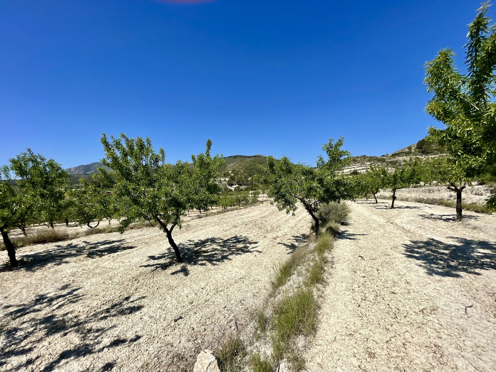Finca a Relleu, Alicante, Spagna 2 camere da letto, 67 mq. N° 192509