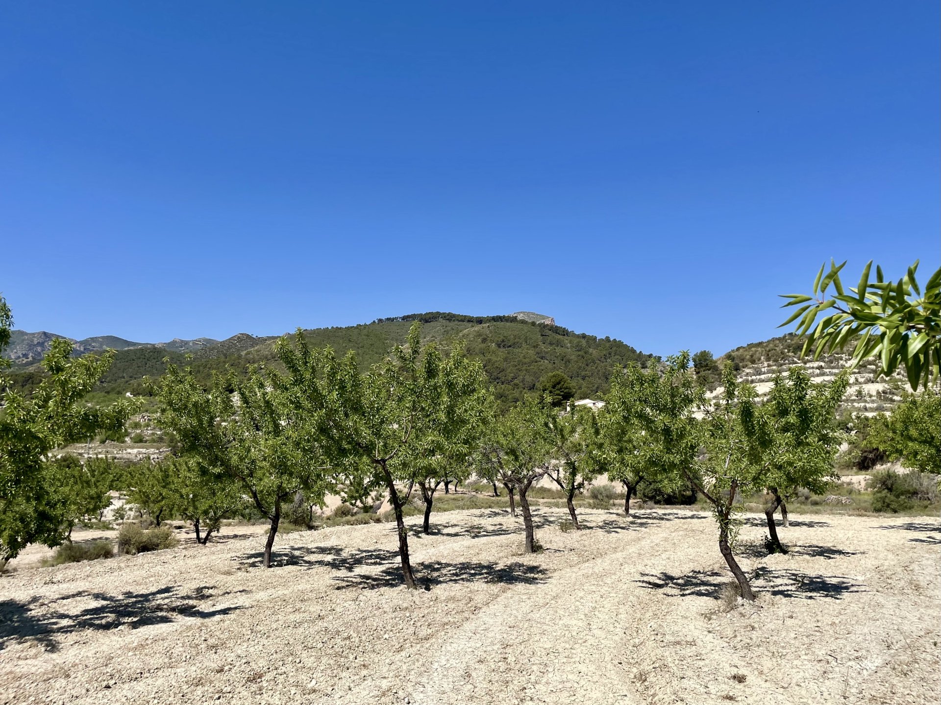 Finca a Relleu, Alicante, Spagna 2 camere da letto, 67 mq. N° 192509