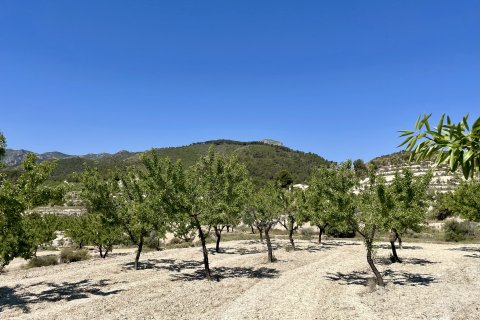Finca in vendita a Relleu, Alicante, Spagna 2 camere da letto, 67 mq. N° 192509 - foto 9