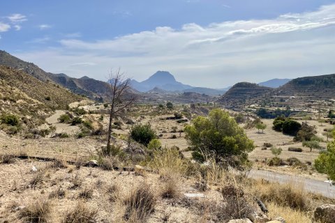 Finca in vendita a Relleu, Alicante, Spagna 3 camere da letto, 146 mq. N° 192505 - foto 12