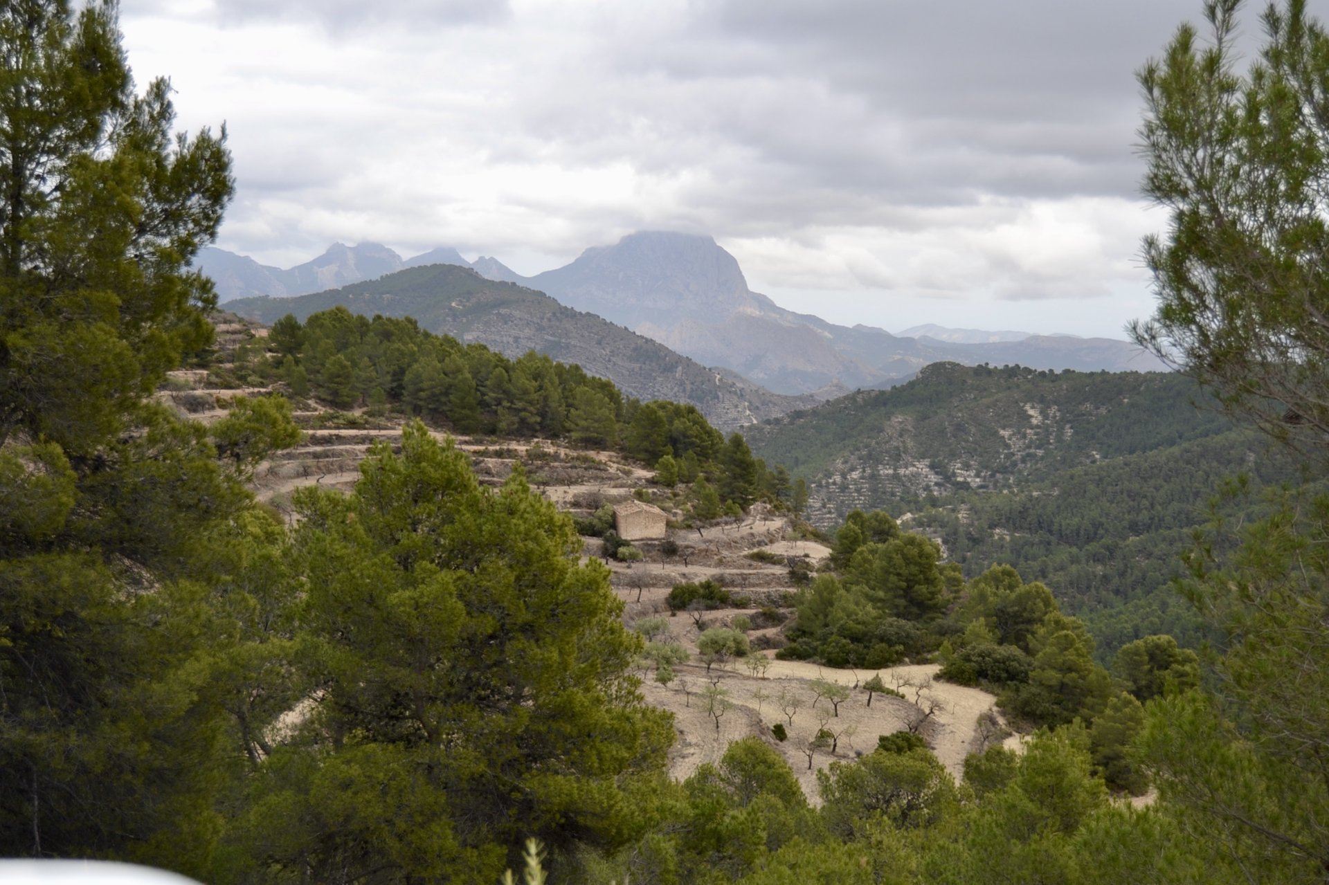 Land in Relleu, Alicante, Spanien 252 m2 Nr. 192508