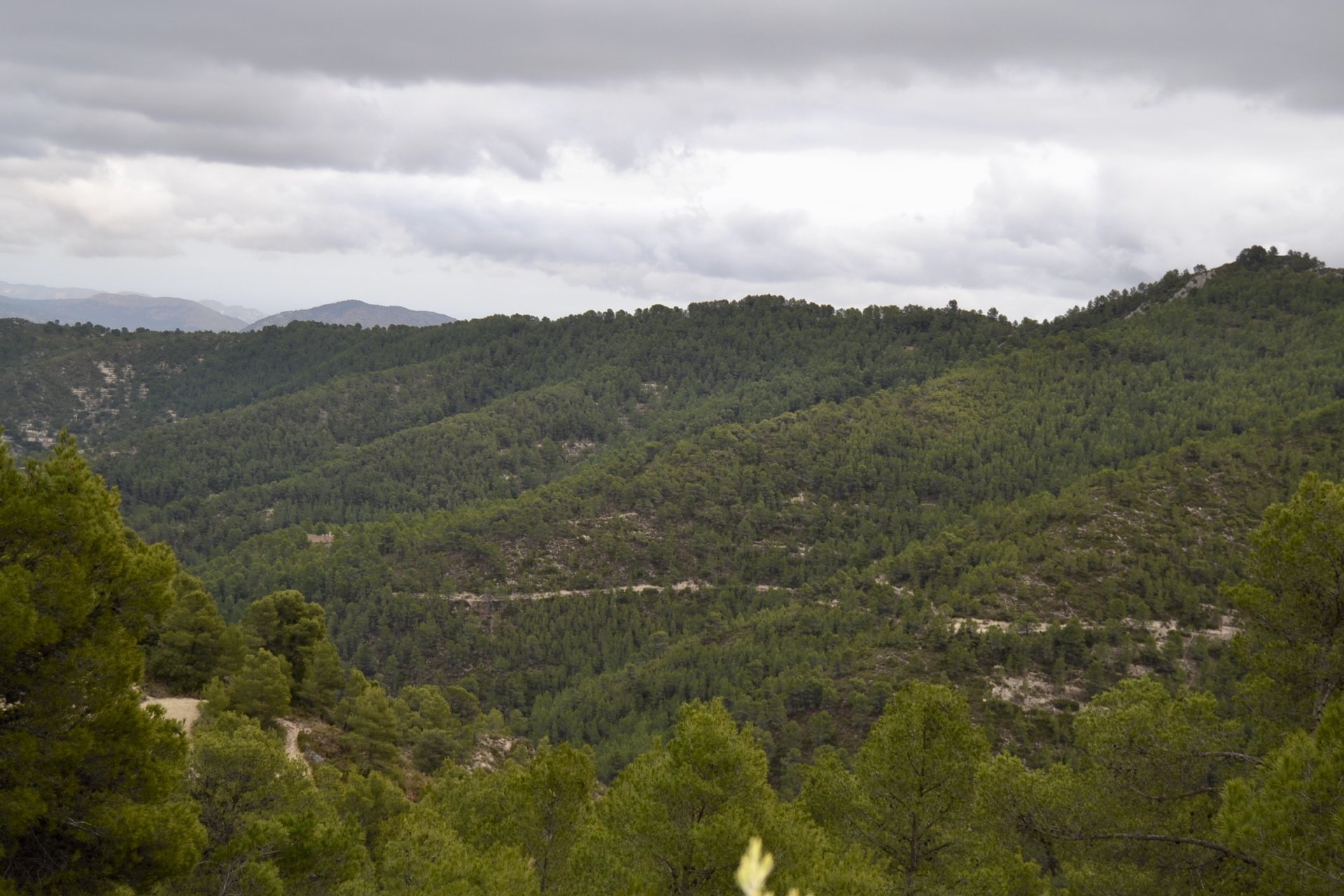 Land in Relleu, Alicante, Spanien 252 m2 Nr. 192508