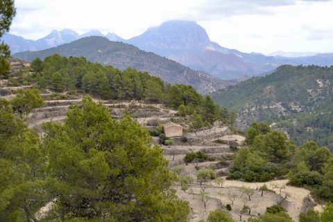 Terreno a Relleu, Alicante, Spagna 252 mq. N° 192508