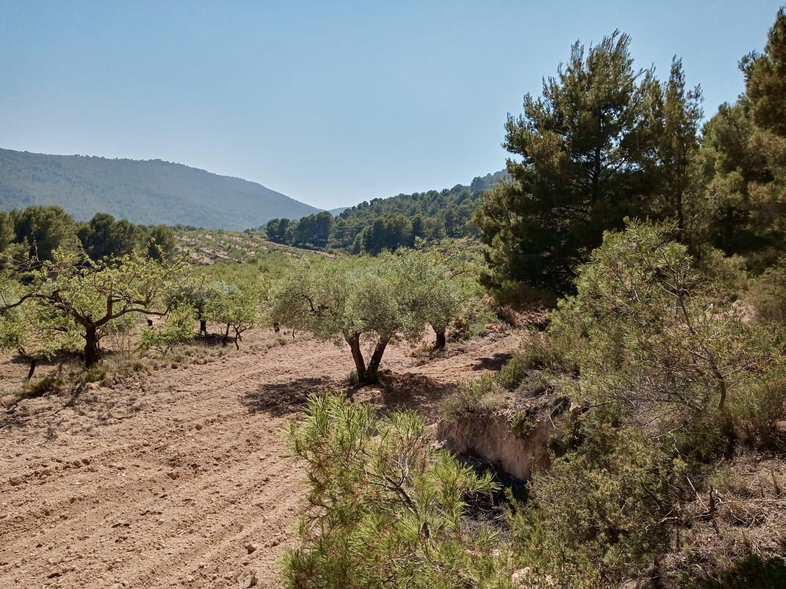 Land in Relleu, Alicante, Spanien 252 m2 Nr. 192508