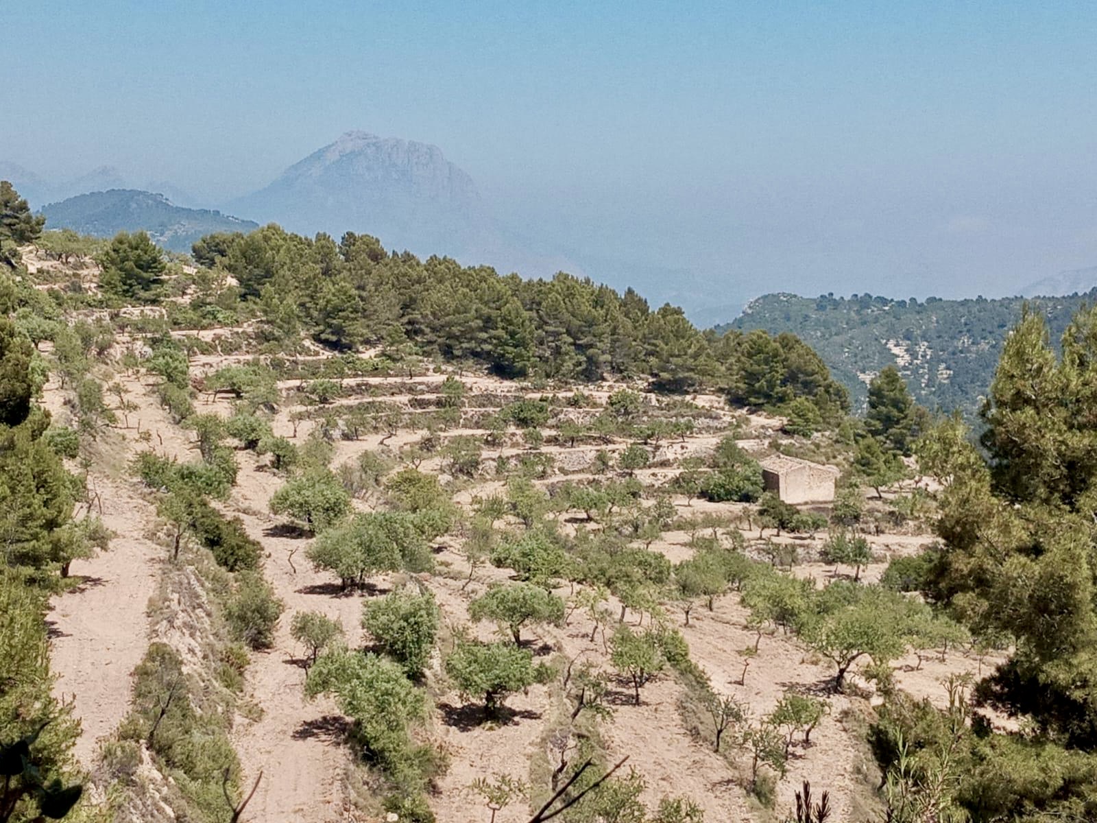Land in Relleu, Alicante, Spanien 252 m2 Nr. 192508