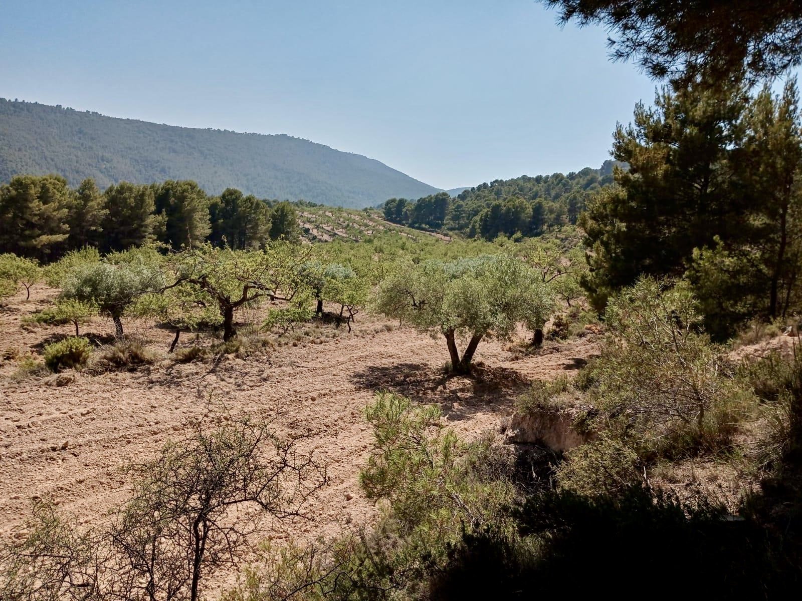 Land in Relleu, Alicante, Spanien 252 m2 Nr. 192508