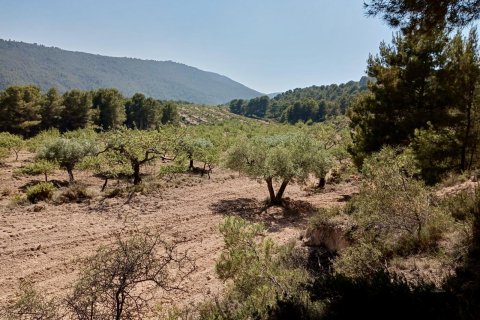 Продажа земельного участка в Рельеф, Аликанте, Испания 252м2 №192508 - фото 9