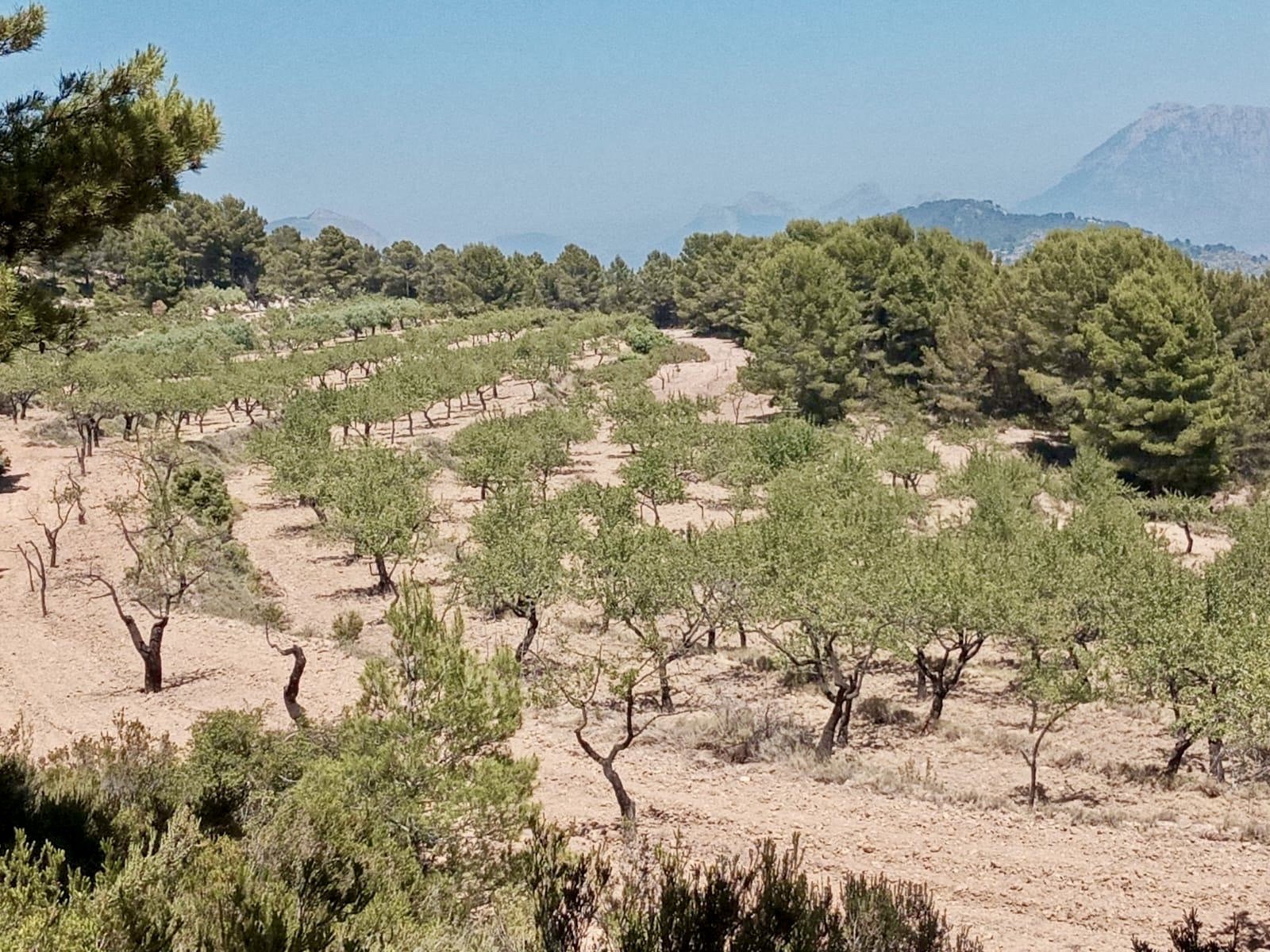 Land in Relleu, Alicante, Spanien 252 m2 Nr. 192508
