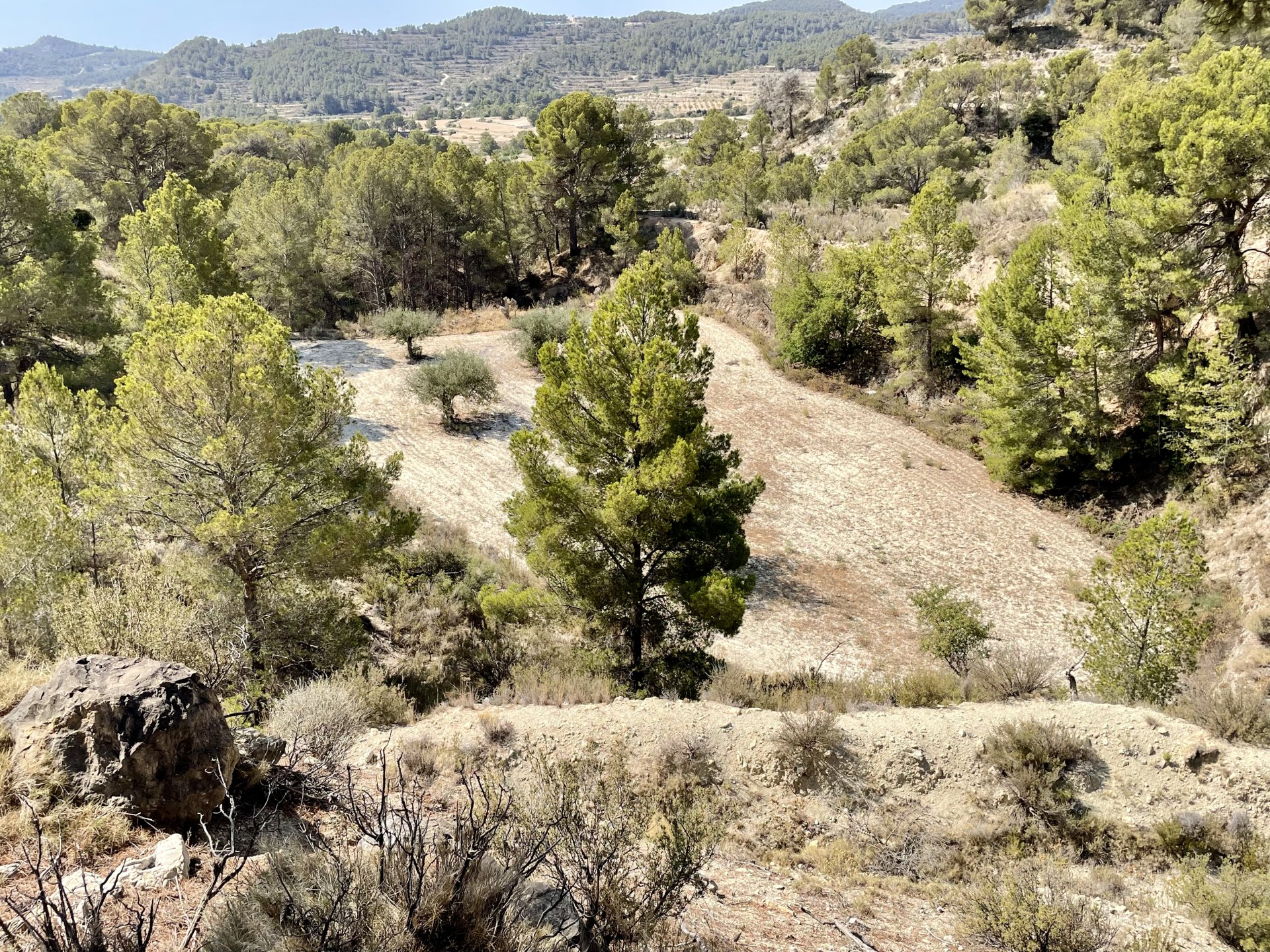 Finca a Relleu, Alicante, Spagna 166 mq. N° 192506