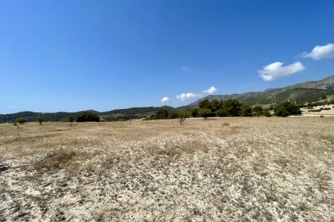 Finca in vendita a Relleu, Alicante, Spagna 166 mq. N° 192506 - foto 17