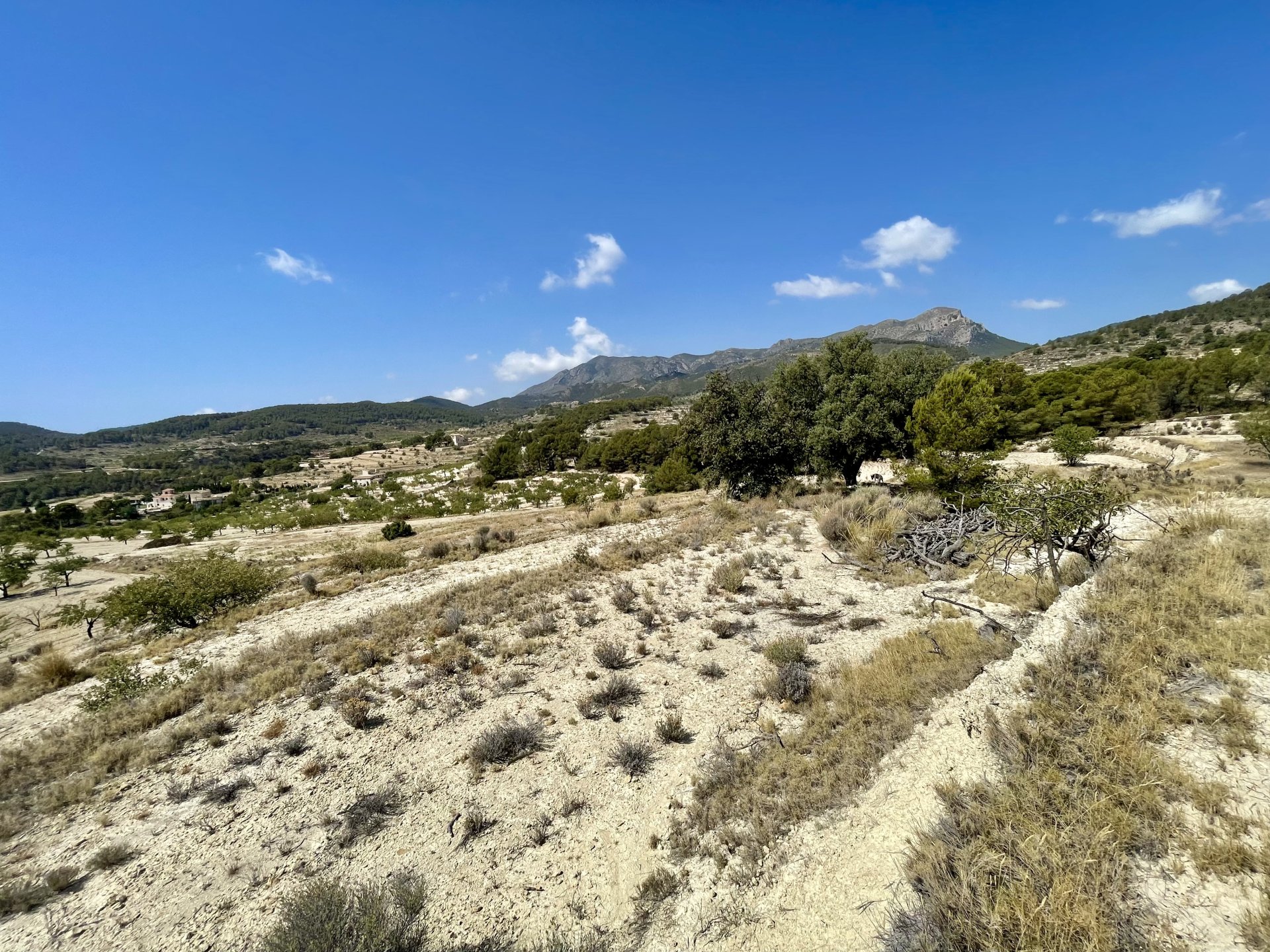 Finca a Relleu, Alicante, Spagna 166 mq. N° 192506