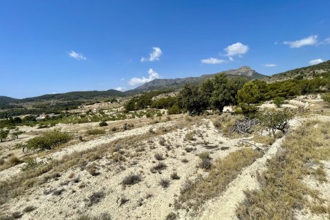 Finca in vendita a Relleu, Alicante, Spagna 166 mq. N° 192506 - foto 15