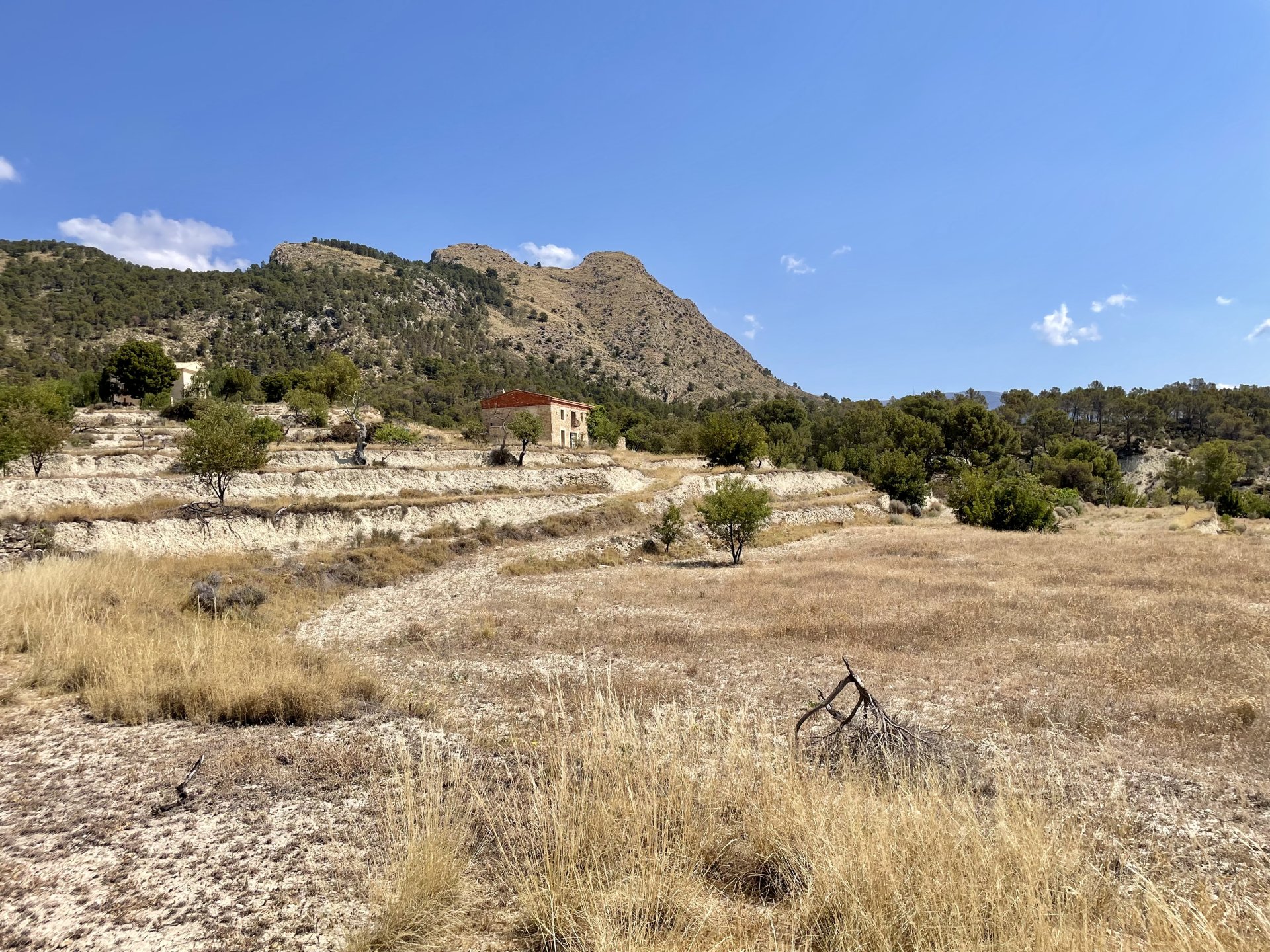 Finca a Relleu, Alicante, Spagna 166 mq. N° 192506
