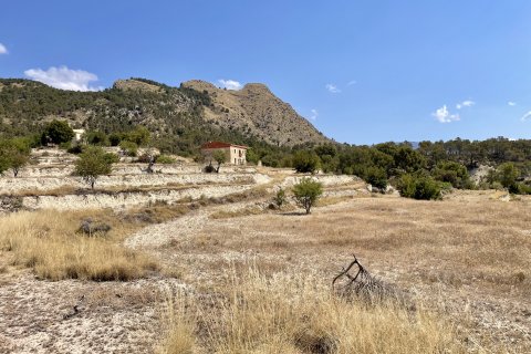Finca in vendita a Relleu, Alicante, Spagna 166 mq. N° 192506 - foto 16