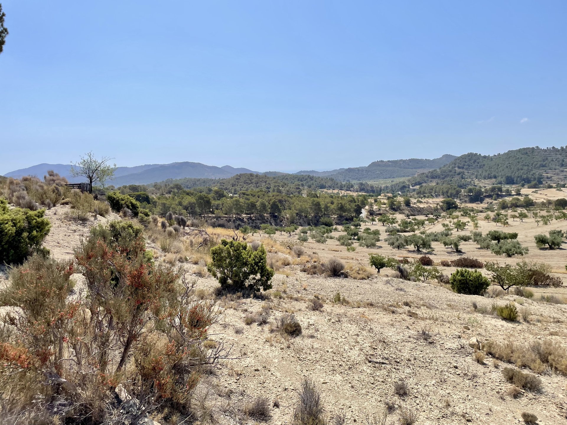 Finca a Relleu, Alicante, Spagna 166 mq. N° 192506
