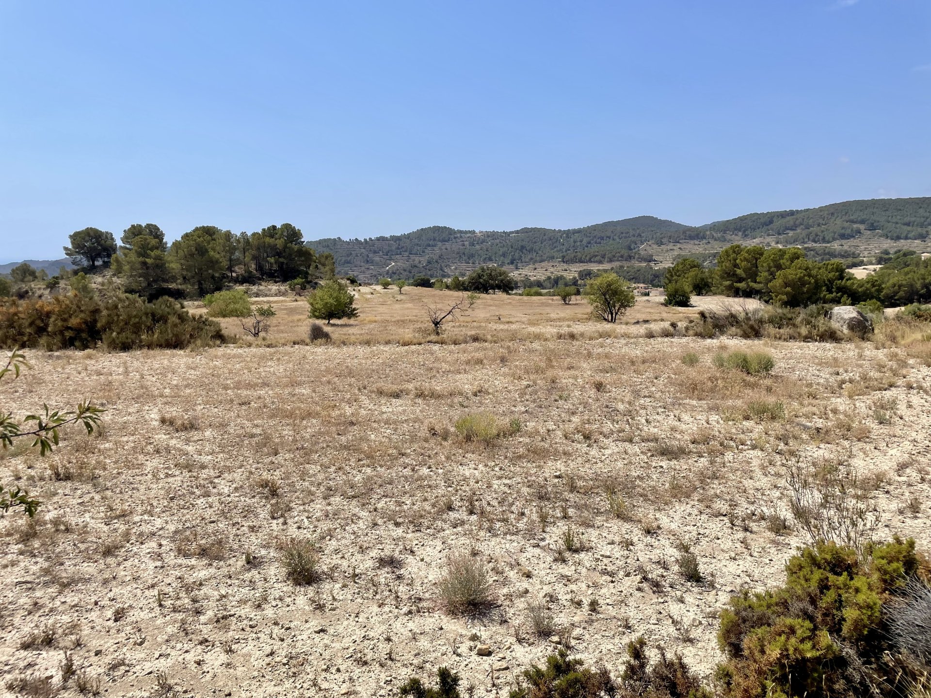 Finca a Relleu, Alicante, Spagna 166 mq. N° 192506