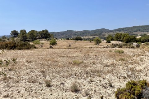 Finca in vendita a Relleu, Alicante, Spagna 166 mq. N° 192506 - foto 10