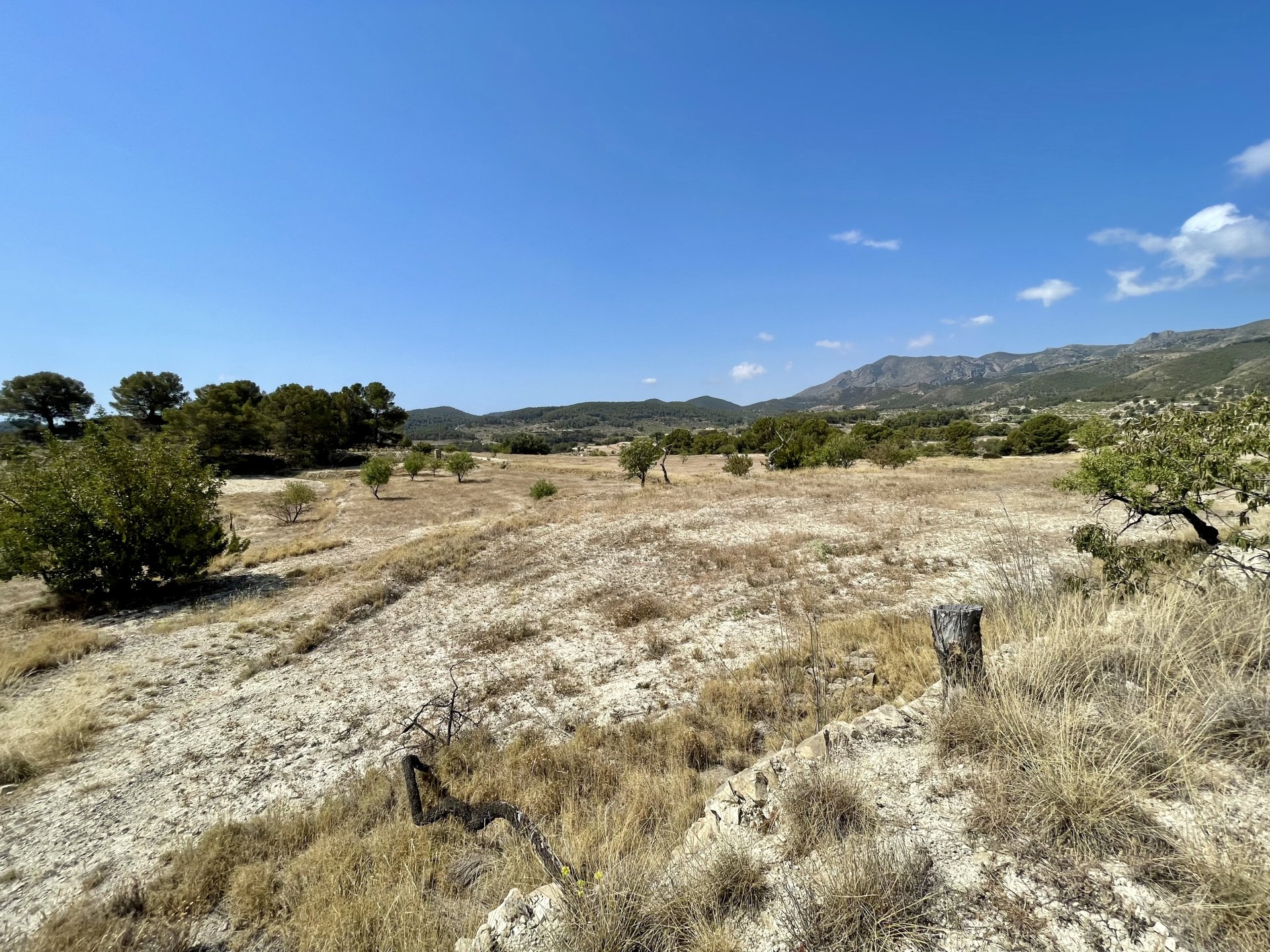 Finca a Relleu, Alicante, Spagna 166 mq. N° 192506