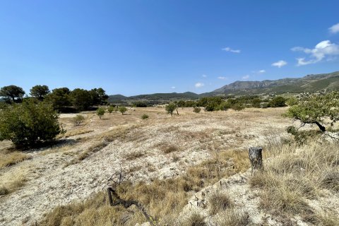 Finca in vendita a Relleu, Alicante, Spagna 166 mq. N° 192506 - foto 21