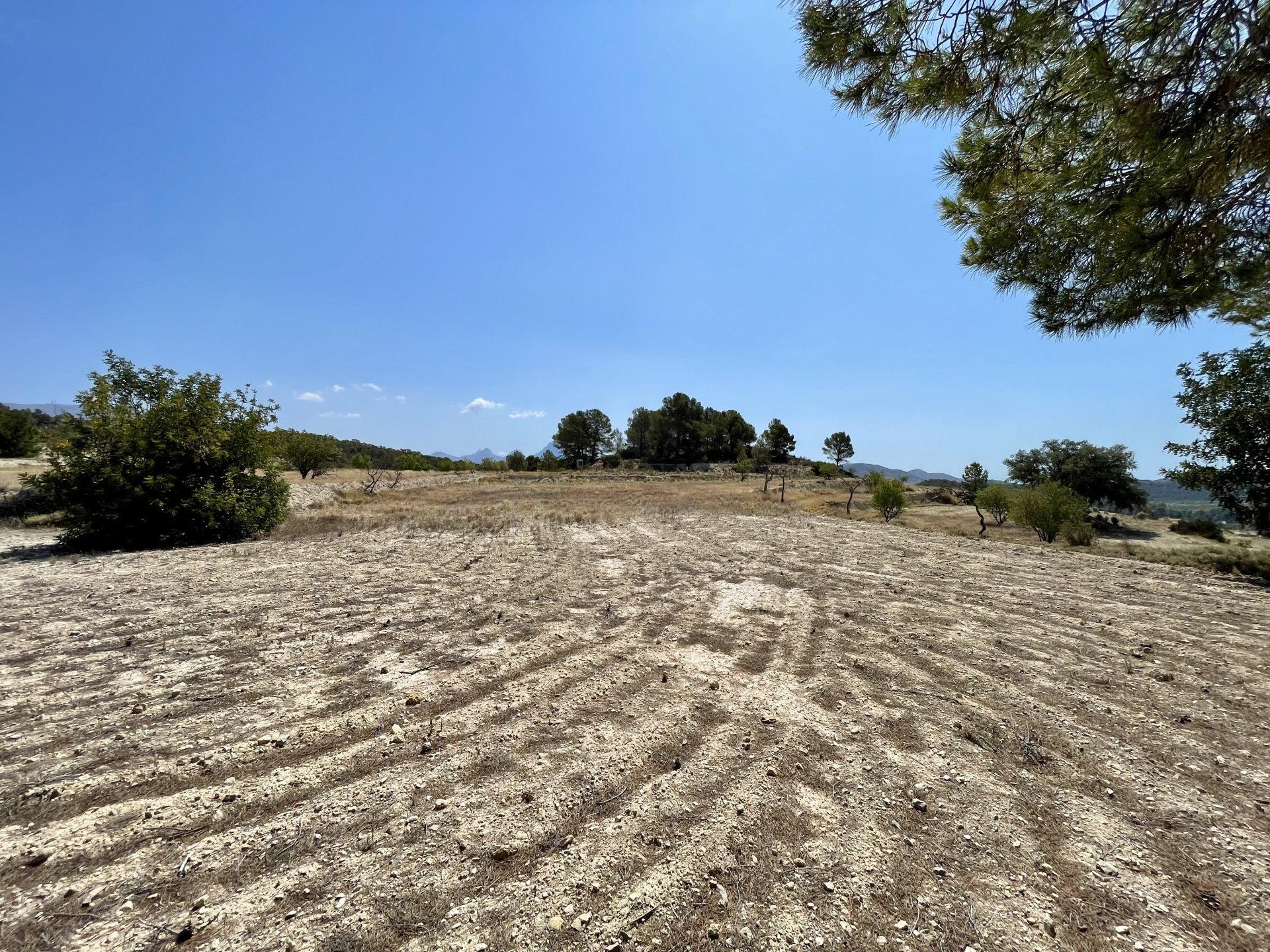 Finca a Relleu, Alicante, Spagna 166 mq. N° 192506