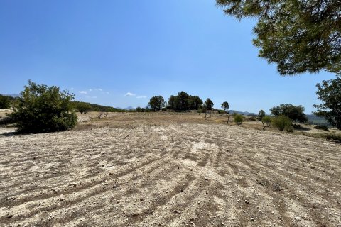 Finca in vendita a Relleu, Alicante, Spagna 166 mq. N° 192506 - foto 13