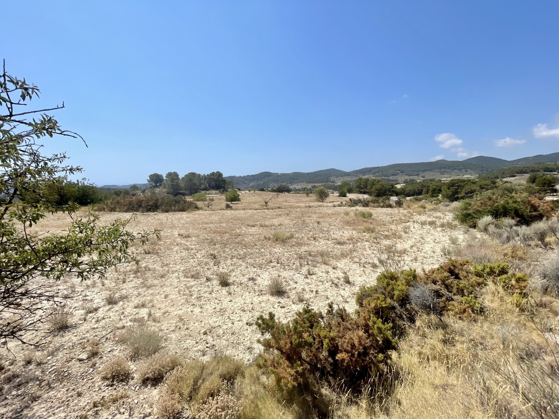 Finca a Relleu, Alicante, Spagna 166 mq. N° 192506