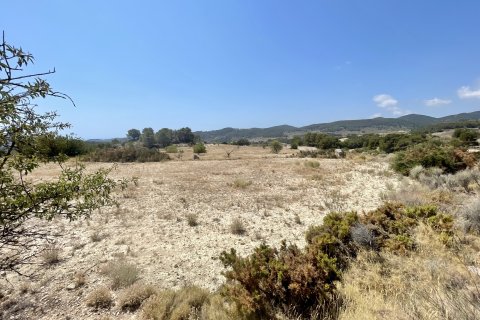 Finca in vendita a Relleu, Alicante, Spagna 166 mq. N° 192506 - foto 11
