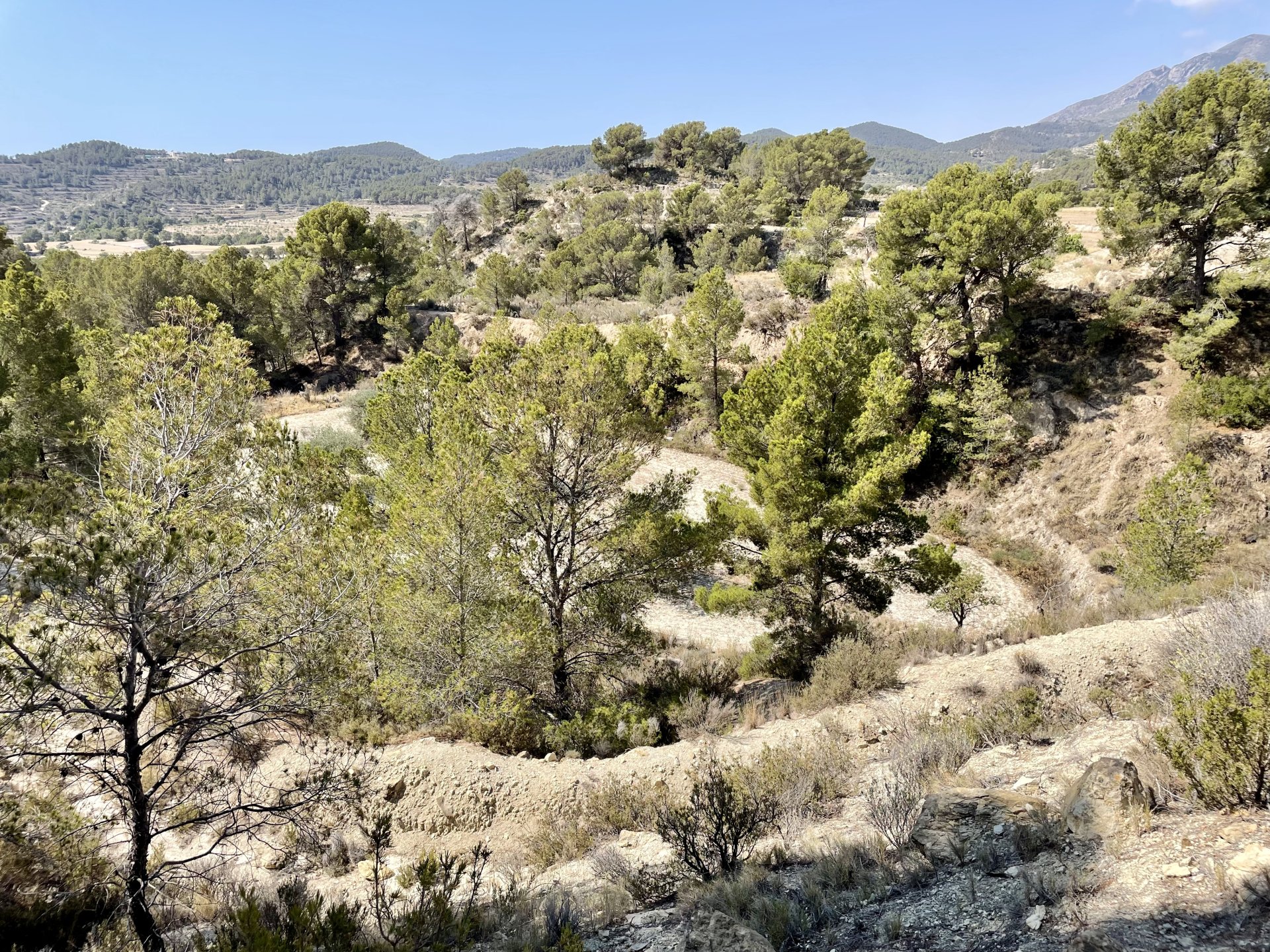 Finca a Relleu, Alicante, Spagna 166 mq. N° 192506