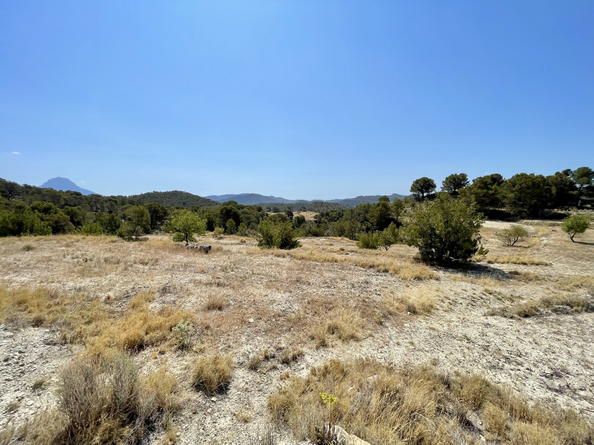 Finca a Relleu, Alicante, Spagna 166 mq. N° 192506